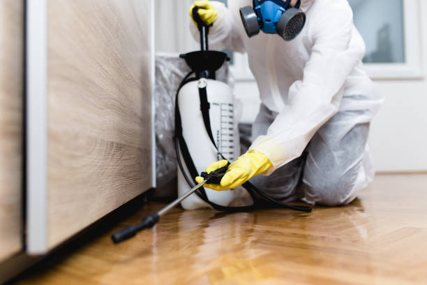 Best Ant Control Services  in Mount Vernon, OH