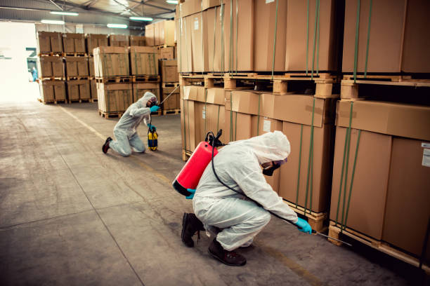 Best Ant Control Services  in Mount Vernon, OH