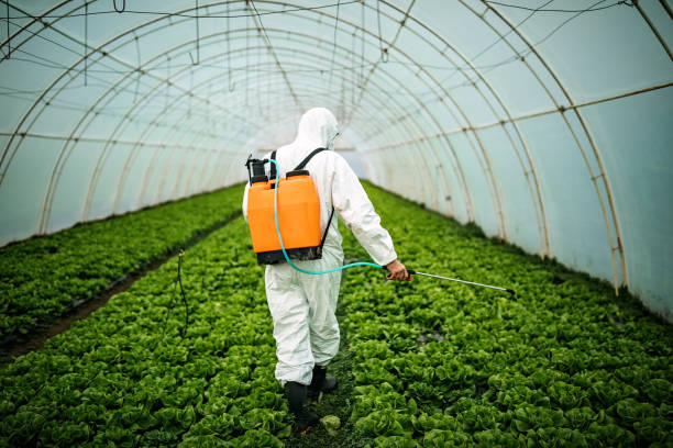 Best Local Pest Control Services  in Mount Vernon, OH