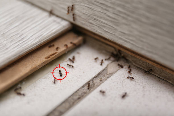 Best Residential Pest Control  in Mount Vernon, OH