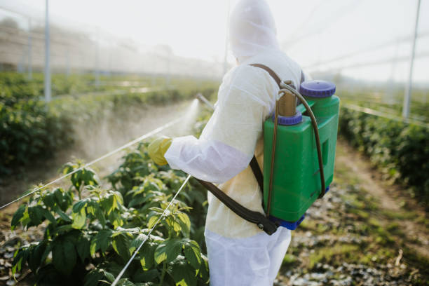 Best Bed Bug Extermination  in Mount Vernon, OH